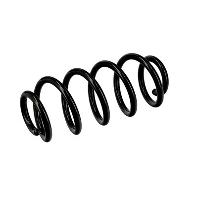 ARC SPIRAL EIBACH R10135 5