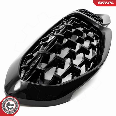 GRILA RADIATOR ESEN SKV 66SKV141 6