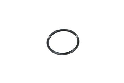 TERMOSTAT LICHID RACIRE NRF 725193 5