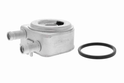 RADIATOR ULEI ULEI MOTOR