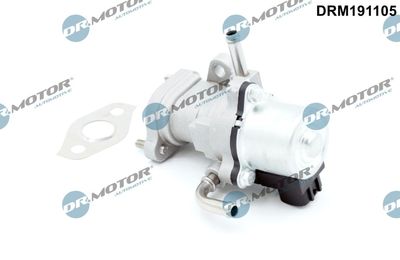 Zawór AGR DR.MOTOR AUTOMOTIVE DRM191105