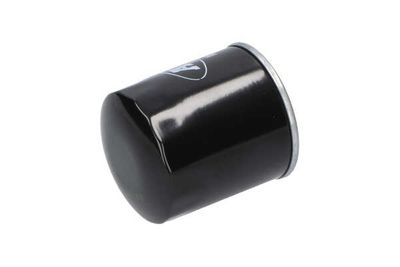 FILTRU COMBUSTIBIL AMC Filter IF3455 17