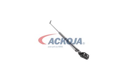 FILTRU AER ACKOJA A320034 44