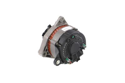 GENERATOR / ALTERNATOR REMANTE 011003000080R 25