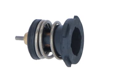 TERMOSTAT LICHID RACIRE NRF 725225 37