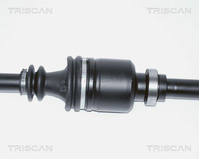 PLANETARA TRISCAN 854028606 3