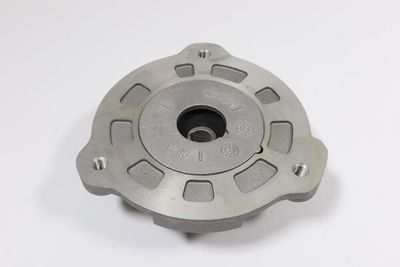 FEDERBEINSTüTZLAGER