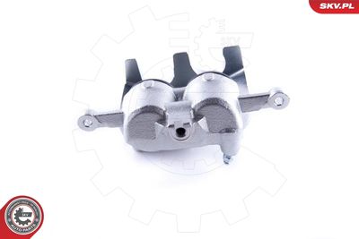 Brake Caliper 50SKV892