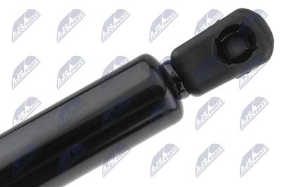 AMORTIZOR GAZ PAVILION NTY AEBM153 2