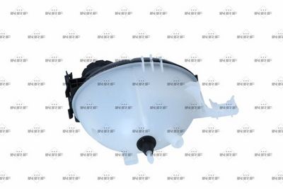 VAS DE EXPANSIUNE RACIRE NRF 454061 2