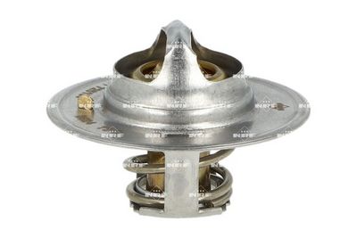 TERMOSTAT LICHID RACIRE NRF 725136 2