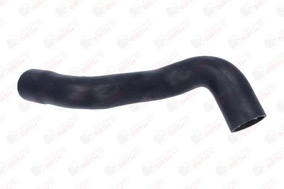 FURTUN EAR SUPRAALIMENTARE BIRTH 55817 7