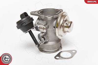 EGR Valve 14SKV081