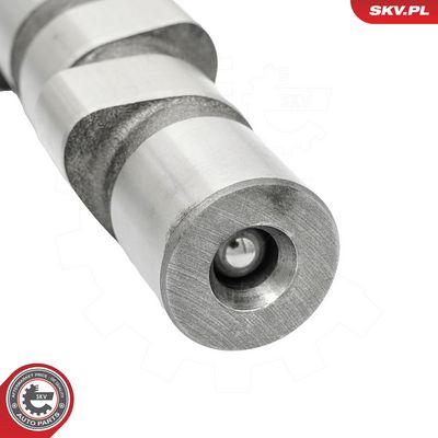 Vačkový hřídel ESEN SKV 80SKV019