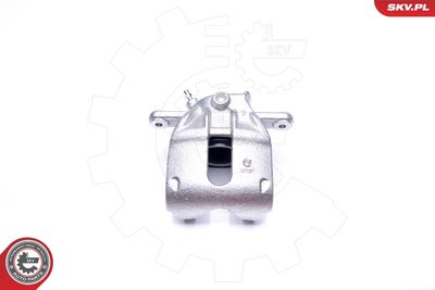 Brake Caliper 42SKV302