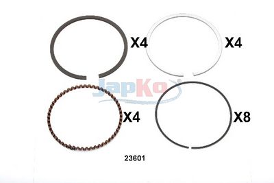 SEGMENT PISTON