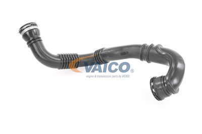 FURTUN EAR SUPRAALIMENTARE VAICO V409741 20