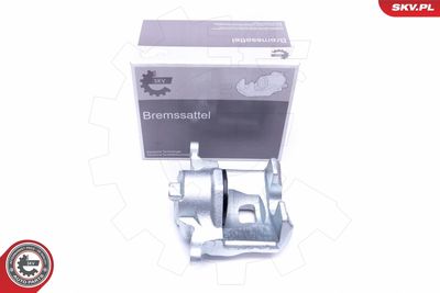 Brake Caliper 45SKV392