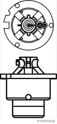 GLüHLAMPE FERNSCHEINWERFER Herth+Buss Elparts 89901221 1