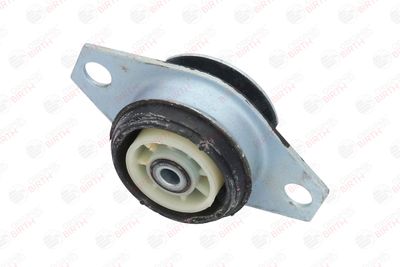 SUPORT MOTOR BIRTH 50043 8