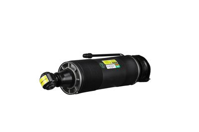 LUFTFEDERBEIN Arnott SK2485 49