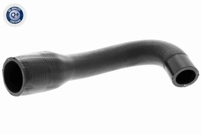 FURTUN EAR SUPRAALIMENTARE