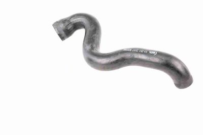 LADELUFTSCHLAUCH VAICO V102912 2