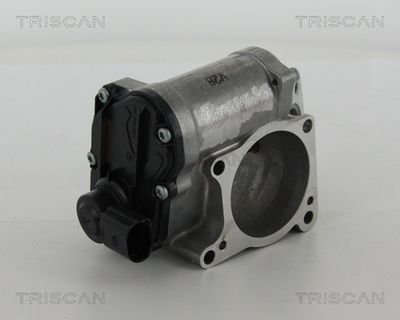 AGR-Ventil TRISCAN 8813 29311