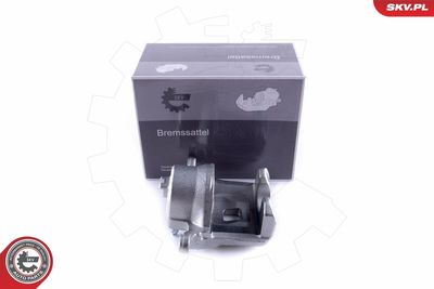 Brake Caliper 55SKV061