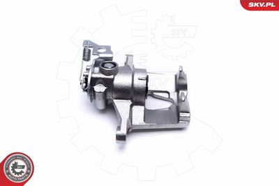 Brake Caliper 44SKV923