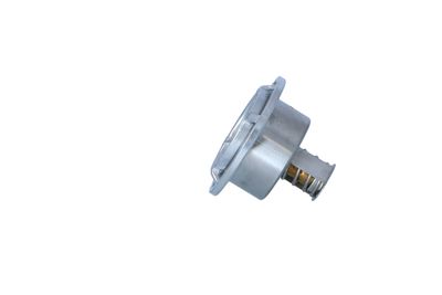 TERMOSTAT LICHID RACIRE NRF 725017 14