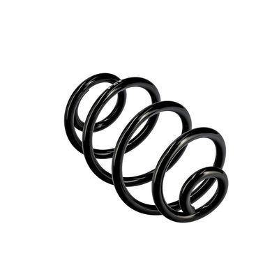 ARC SPIRAL EIBACH R10374 11