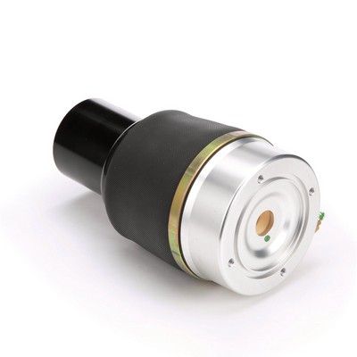 LUFTFEDER FAHRWERK Arnott A2571 46