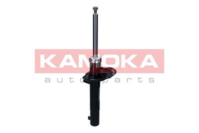 Shock Absorber 2001185