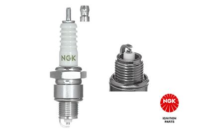 Spark Plug 3975