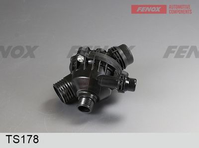 термостат, охладителна течност FENOX TS178