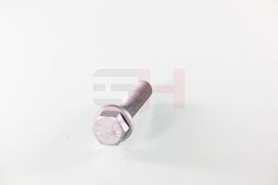 SURUB CAPAT DE AX GH GH391539 14