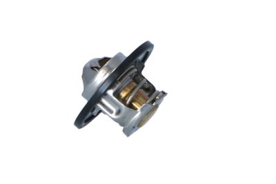 TERMOSTAT LICHID RACIRE NRF 725150 19