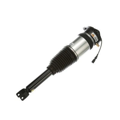 LUFTFEDERBEIN Arnott AS2968 61