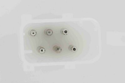 SISTEM ALIMENTARE CU COMBUSTIBIL VEMO V48090017 1