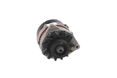 GENERATOR / ALTERNATOR REMANTE 011003000080R 59