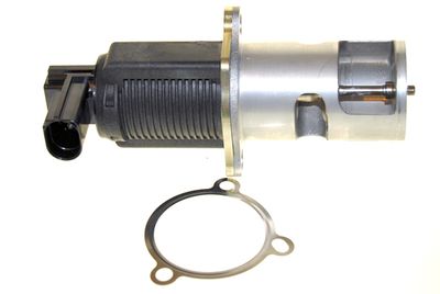 AGR-Ventil LIZARTE EGR013
