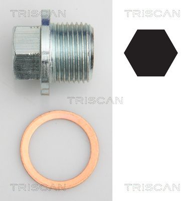 Резьбовая пробка, масляный поддон TRISCAN 9500 1022 для SUBARU XV