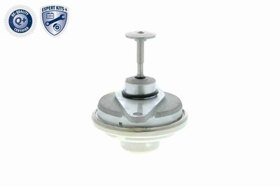 SUPAPA EGR VEMO V406300241 4