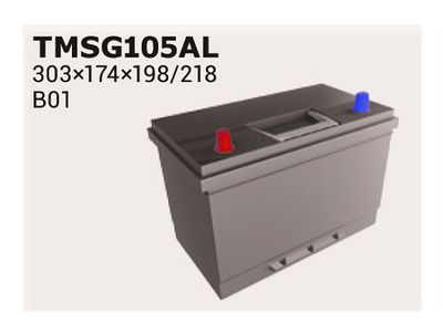 Стартерная аккумуляторная батарея IPSA TMSG105AL для SSANGYONG RODIUS