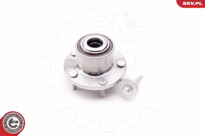 Wheel Bearing Kit 29SKV128