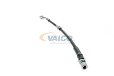 FURTUN FRANA VAICO V404110 25