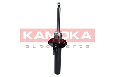 Shock Absorber 2000446