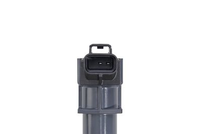 BOBINA DE INDUCTIE BorgWarner (BERU) ZS605 2