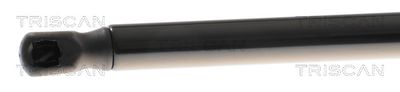 AMORTIZOR PORTBAGAJ TRISCAN 871043307 1